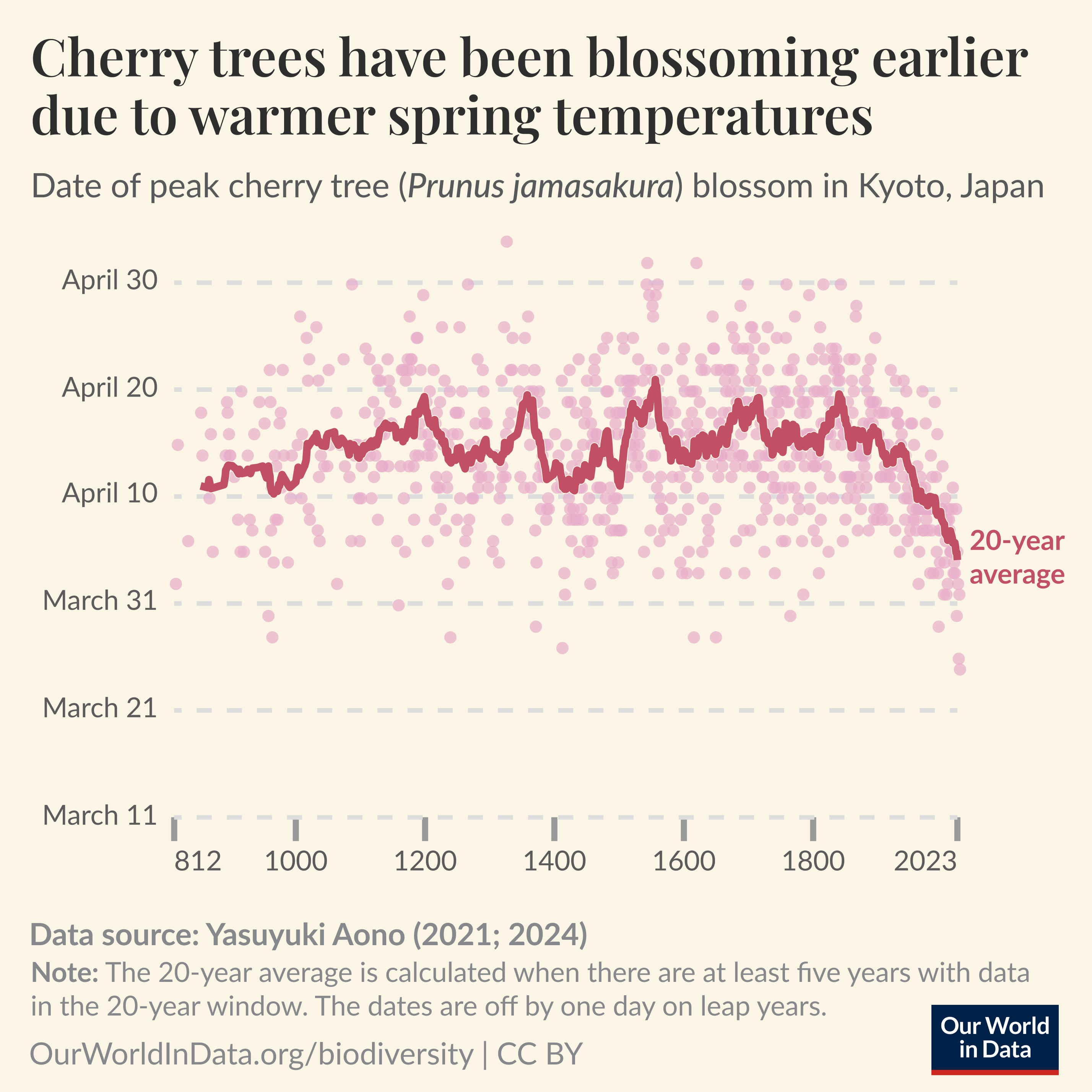 Japan’s cherry trees have been blossoming earlier due to warmer spring temperatures